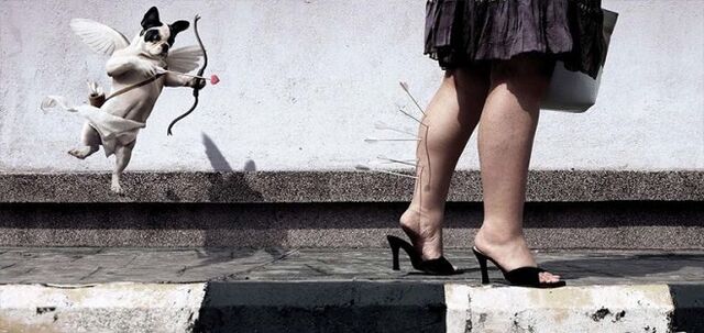 danni alle gambe a causa delle vene varicose